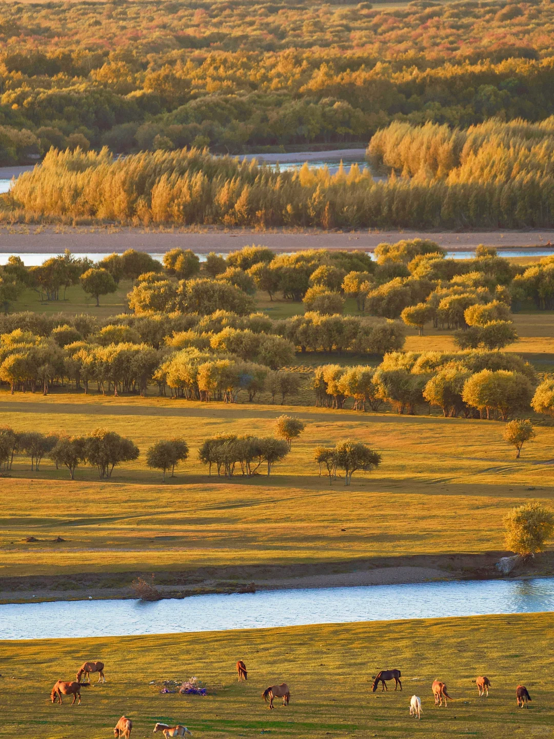 呼伦贝尔第一天🍂闯进油画里走不出来了