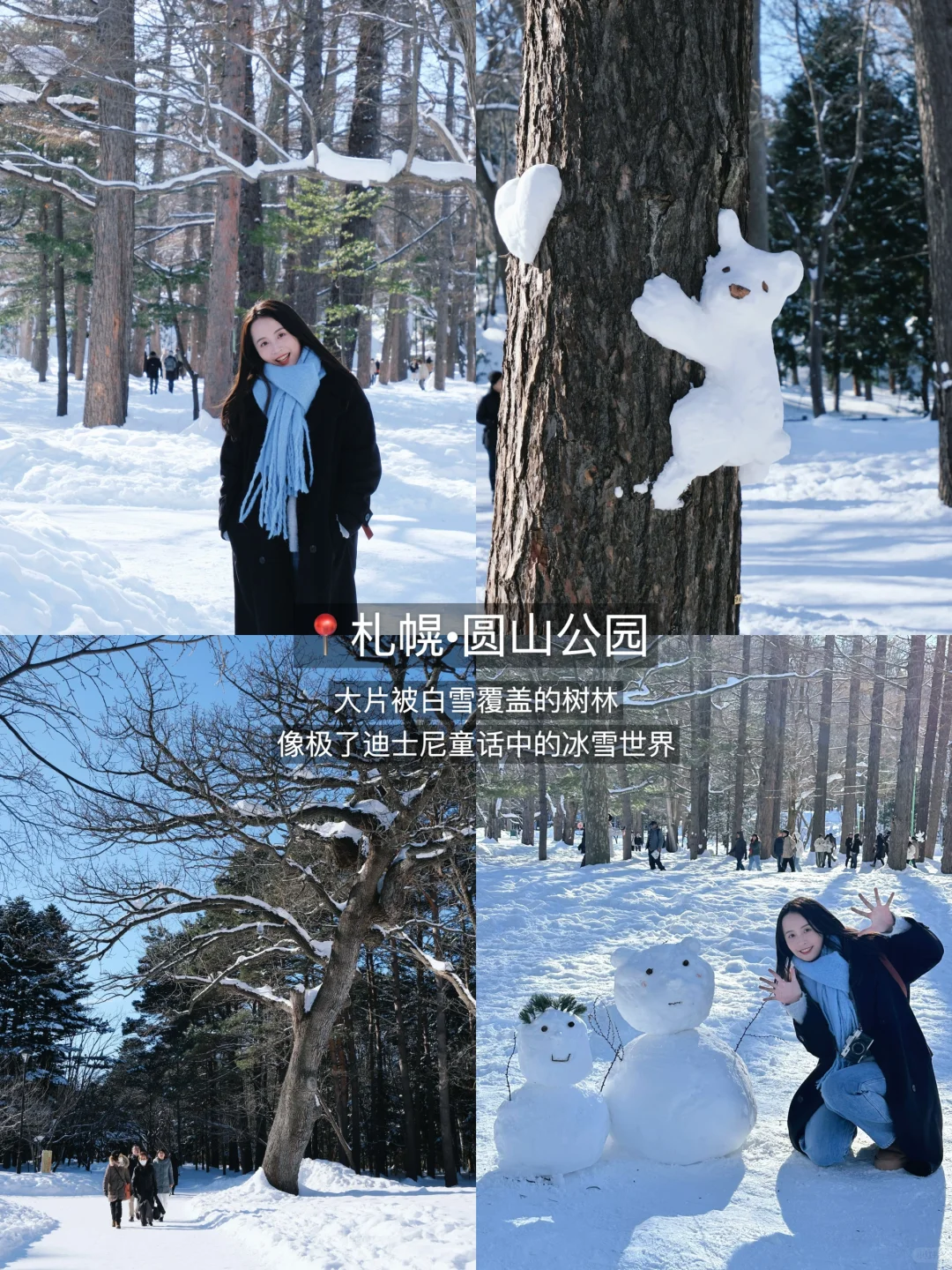 北海道6天5夜🇯🇵J人保姆级旅行攻略‼️收藏