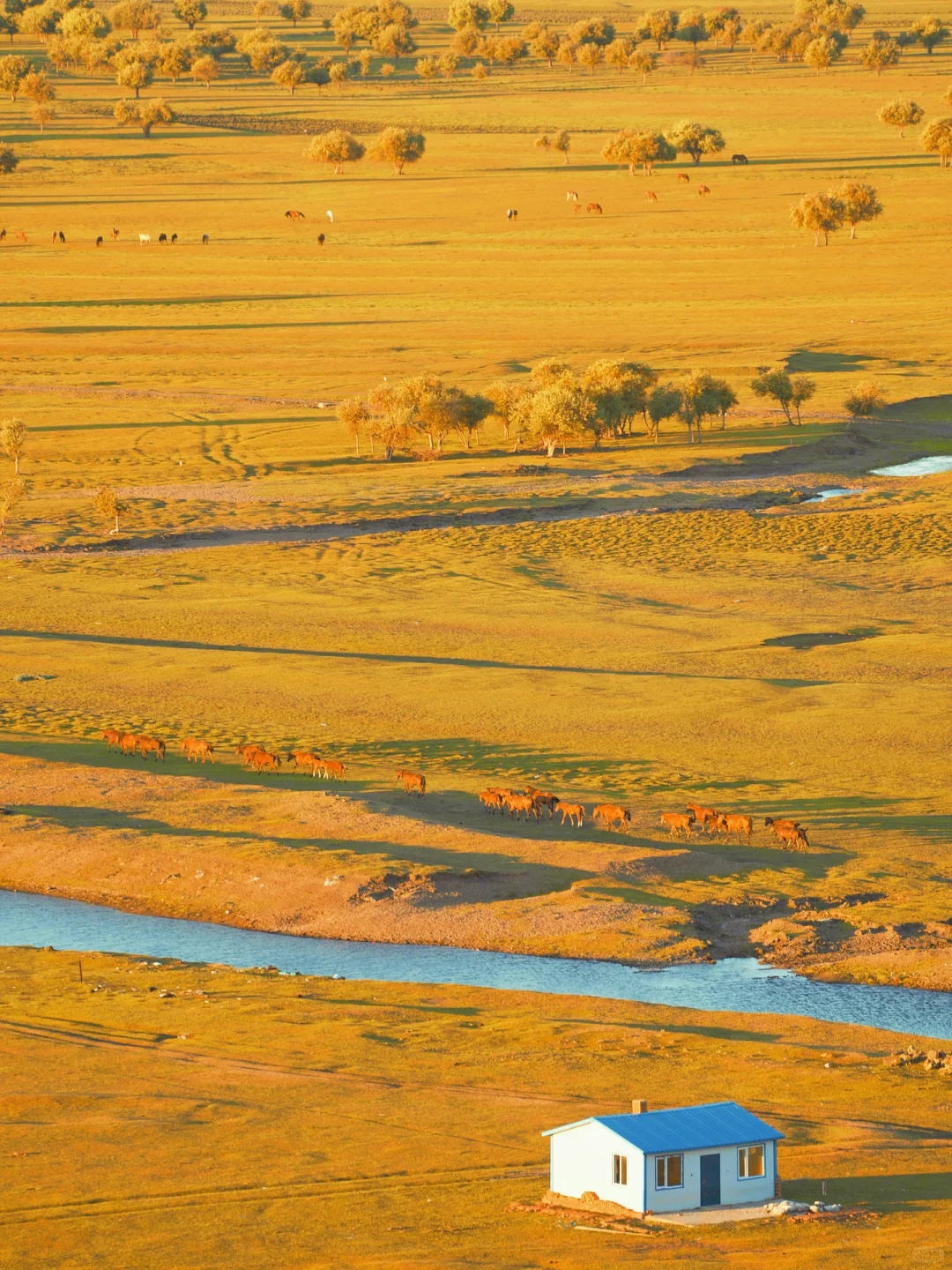 呼伦贝尔第一天🍂闯进油画里走不出来了