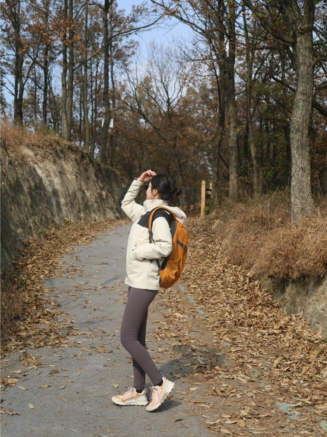 后悔才发现！成都不费腿的山找到了