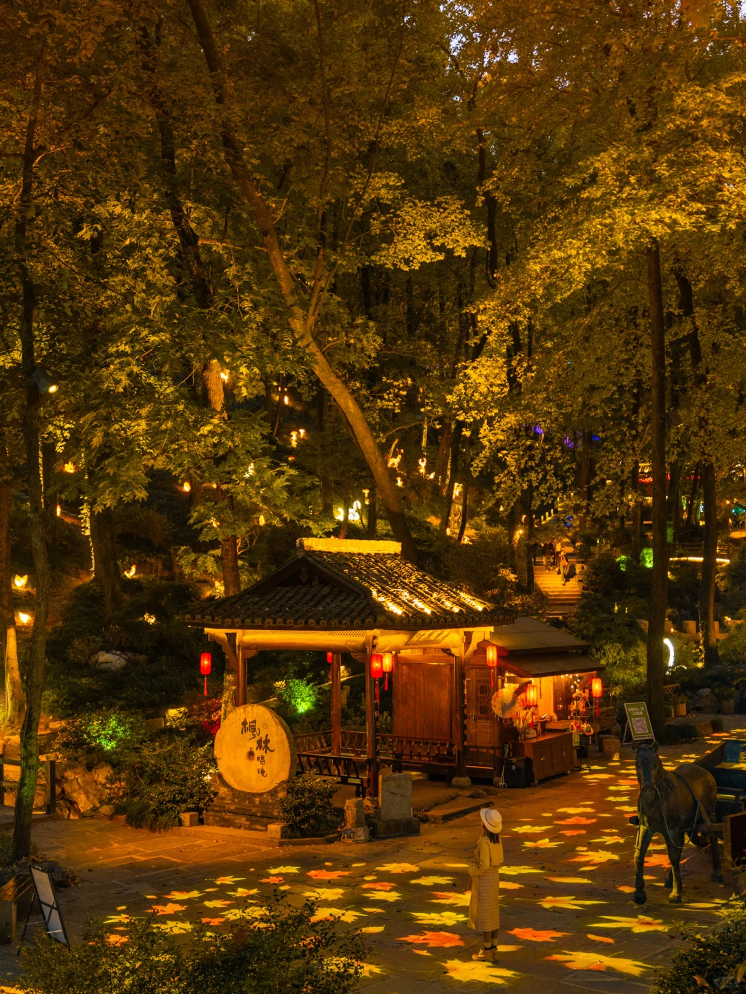 皖南的🍁枫叶已红!这个小镇的秋色美翻了‼️