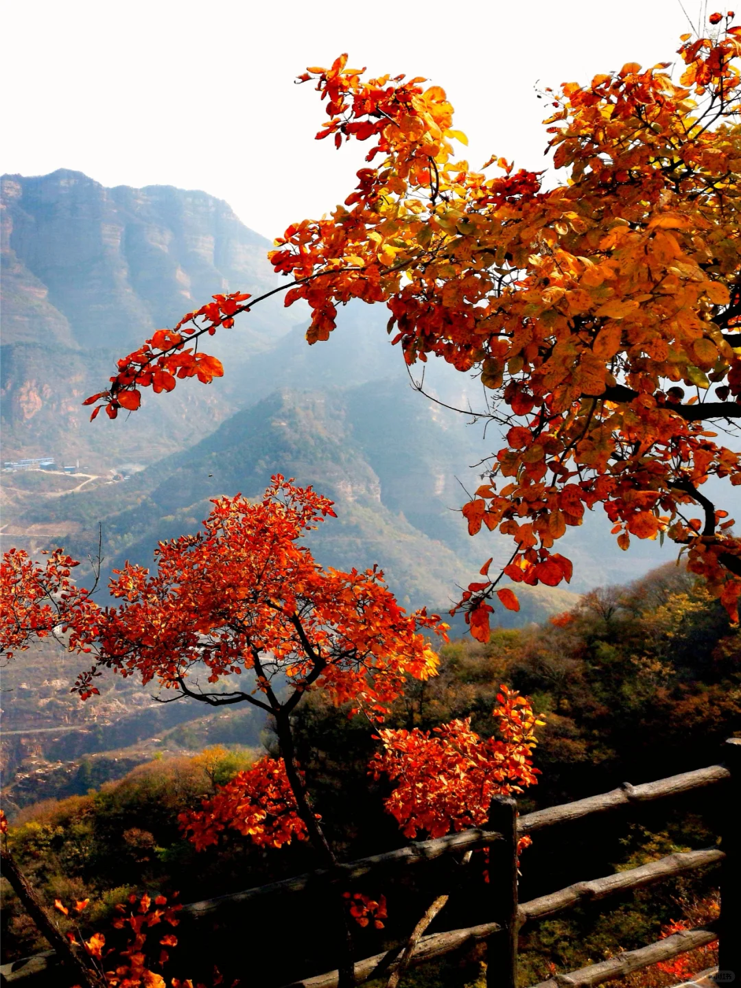 绝美风景路线不走回头路攻略！