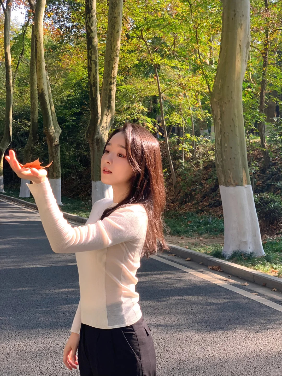 等了一年,就为了11月的南京!!🍁