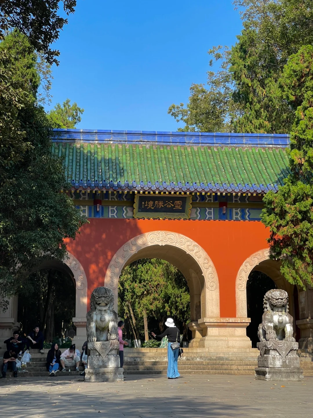 等了一年,就为了11月的南京!!🍁