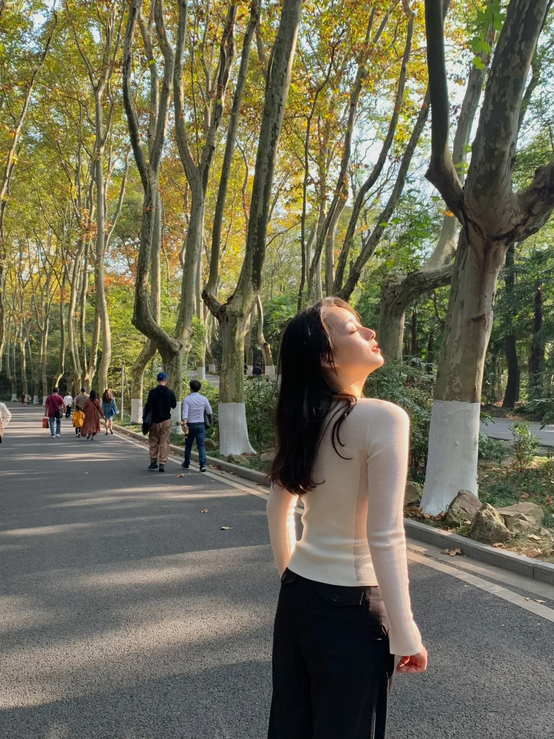 等了一年,就为了11月的南京!!🍁