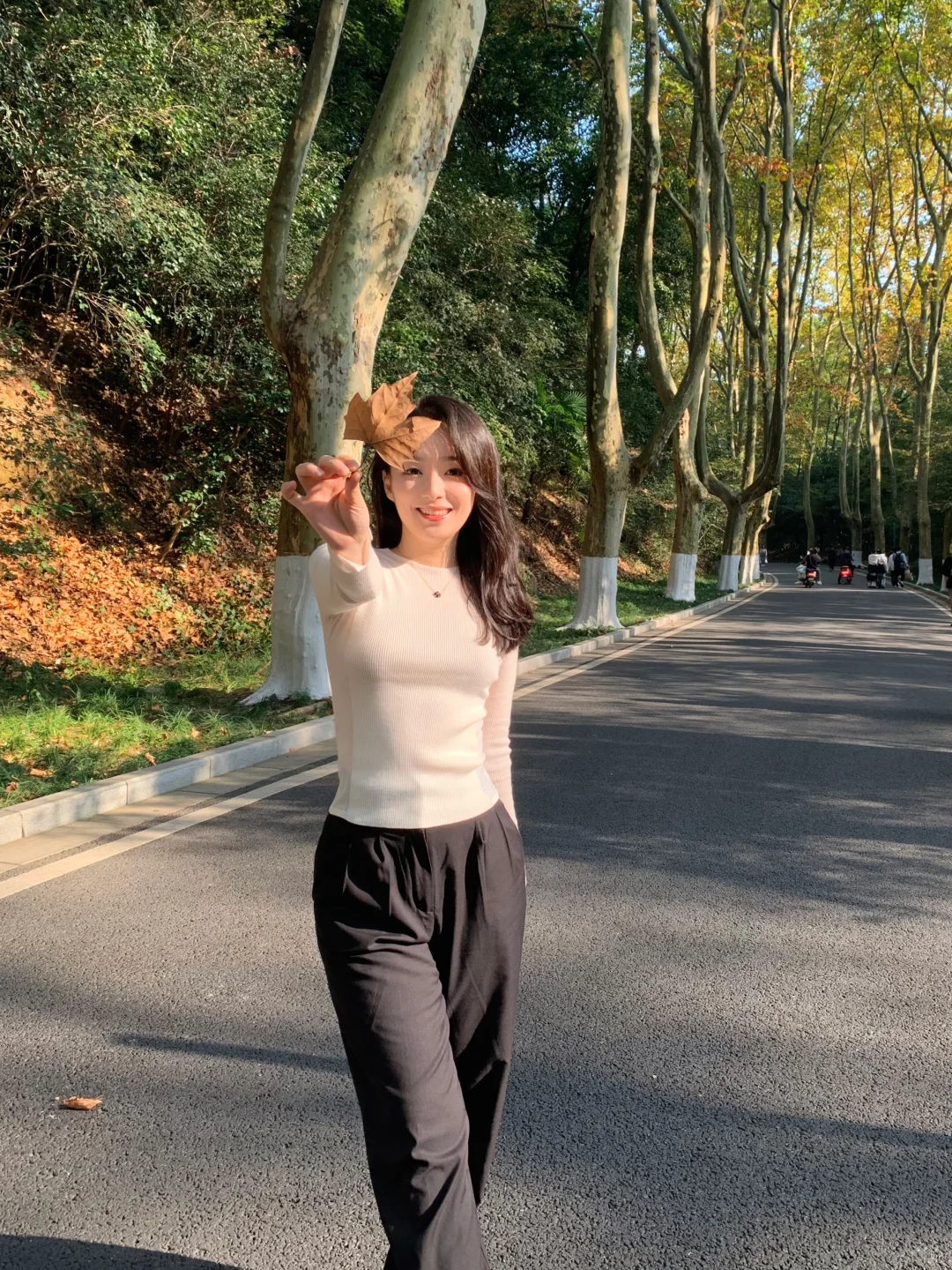 等了一年,就为了11月的南京!!🍁