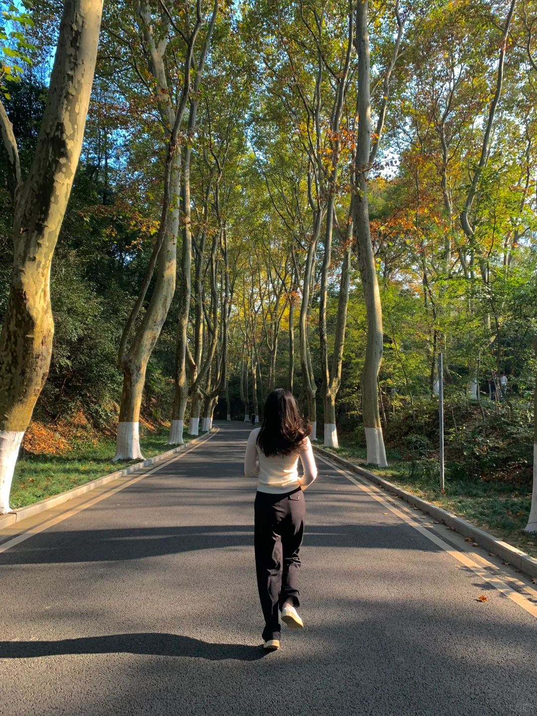 等了一年,就为了11月的南京!!🍁