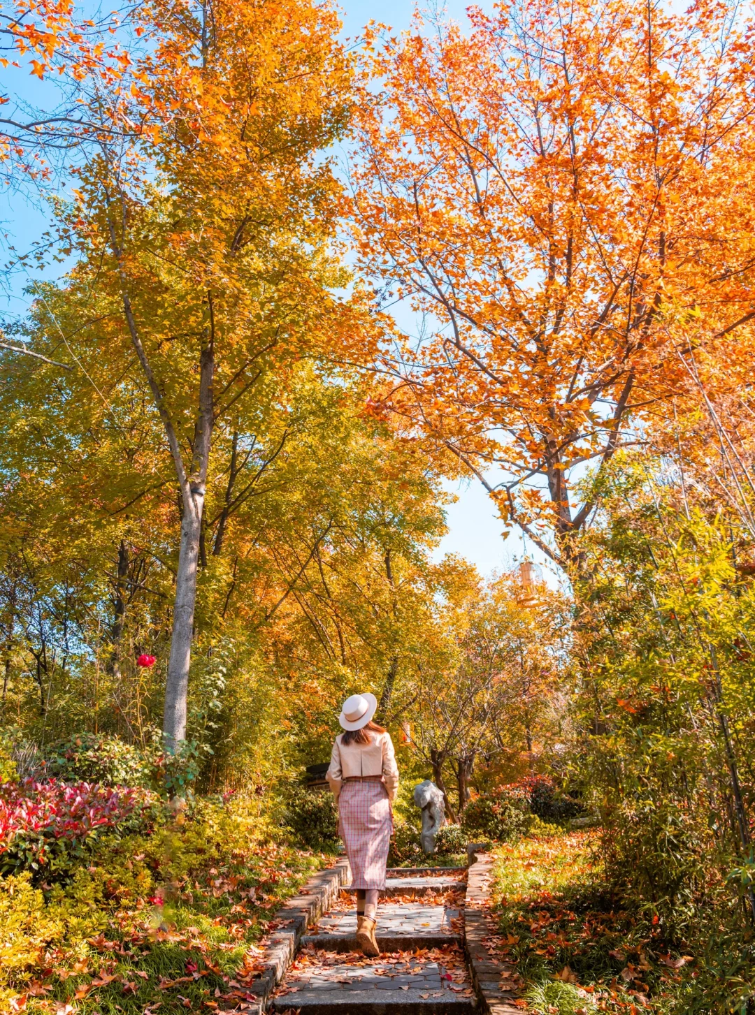 皖南的🍁枫叶已红!这个小镇的秋色美翻了‼️