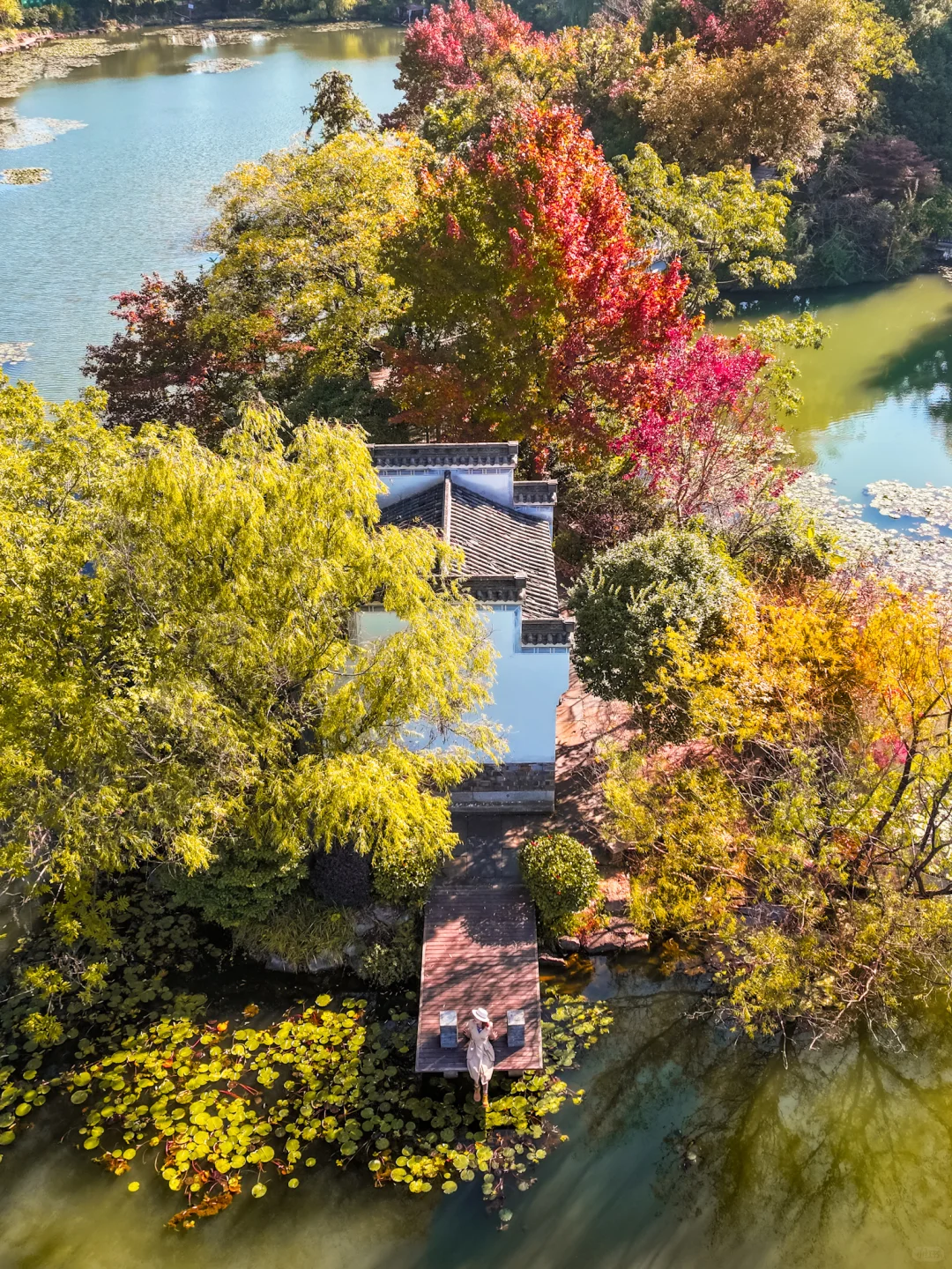皖南的🍁枫叶已红!这个小镇的秋色美翻了‼️