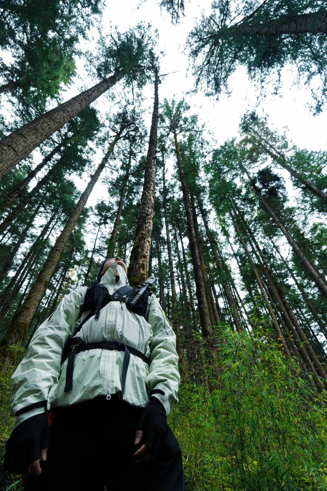 趁门票降价,一天逛完九寨沟攻略❗️