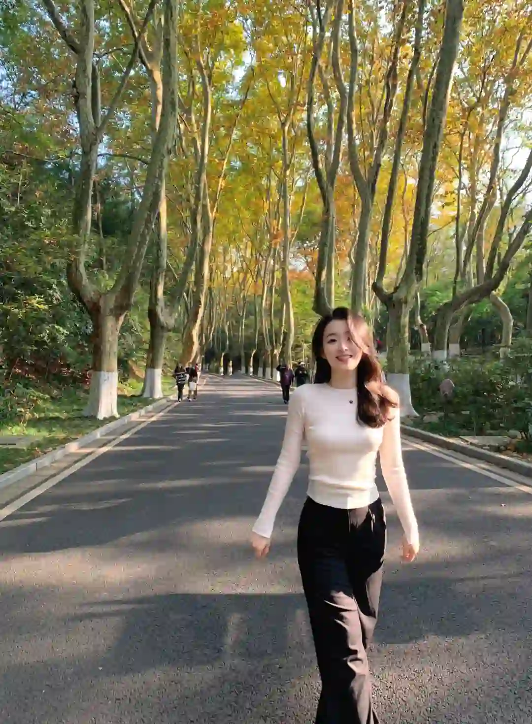 等了一年,就为了11月的南京!!🍁