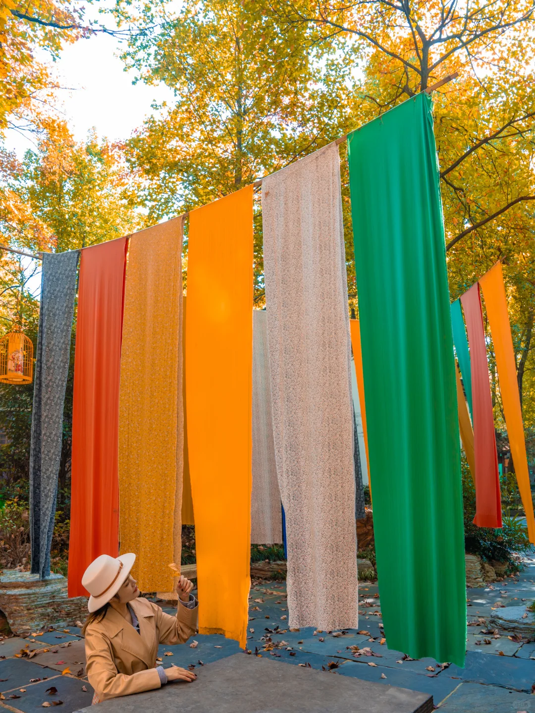 皖南的🍁枫叶已红!这个小镇的秋色美翻了‼️