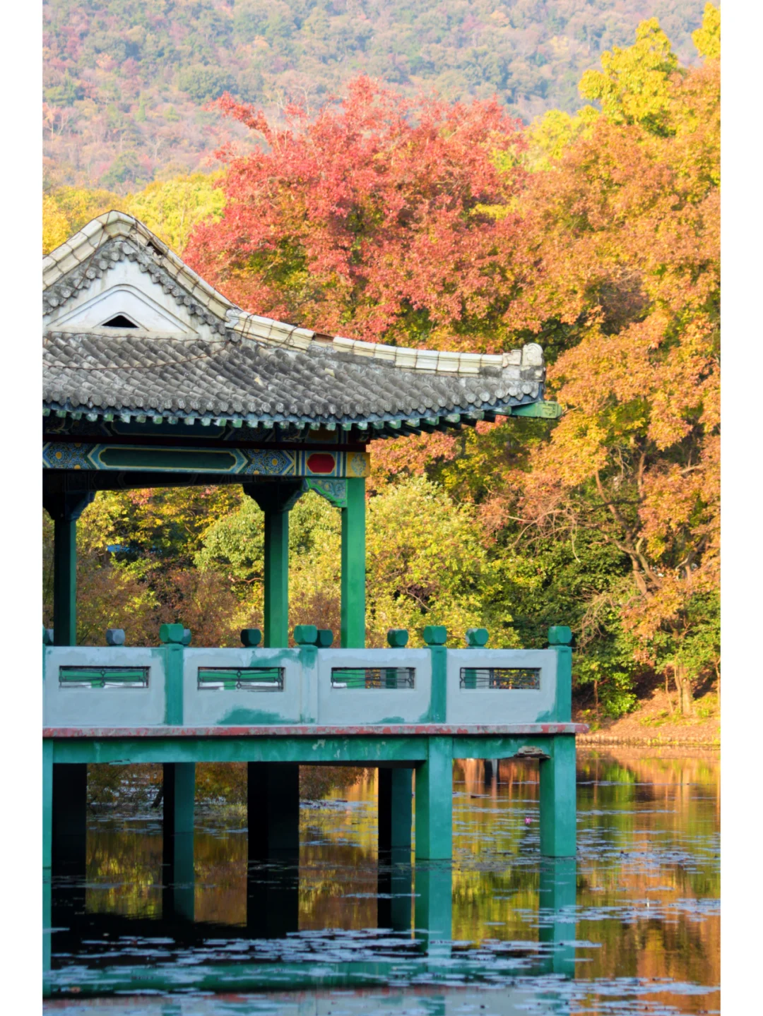 南京流徽榭|藏在钟山景区的秋色秘境🍂