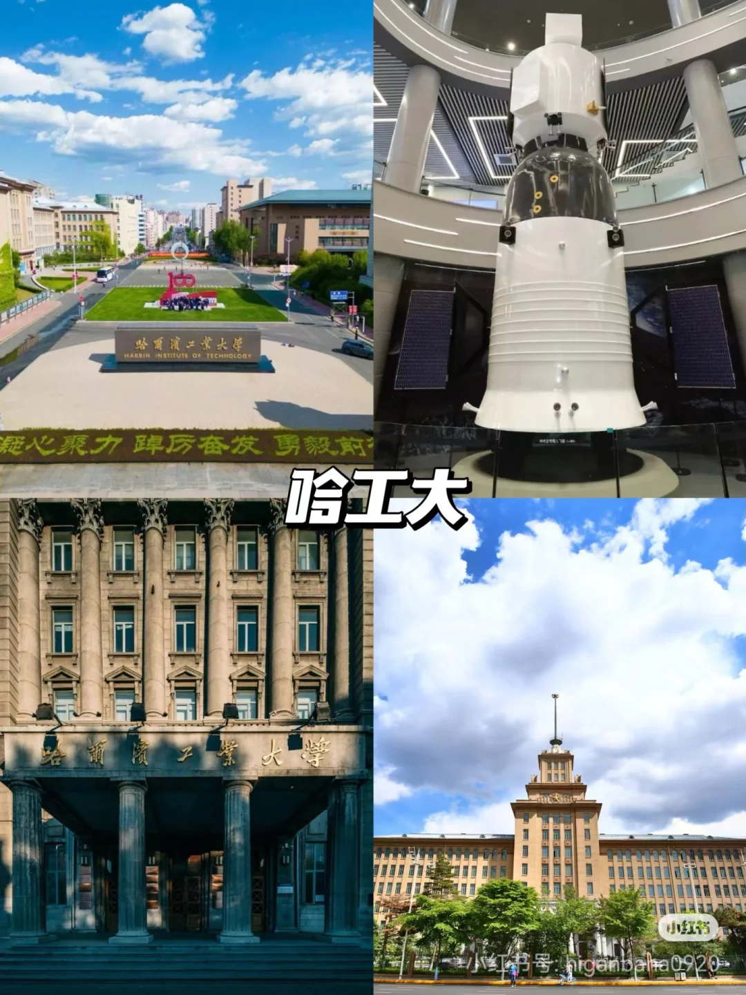 哈尔滨本地土著推荐