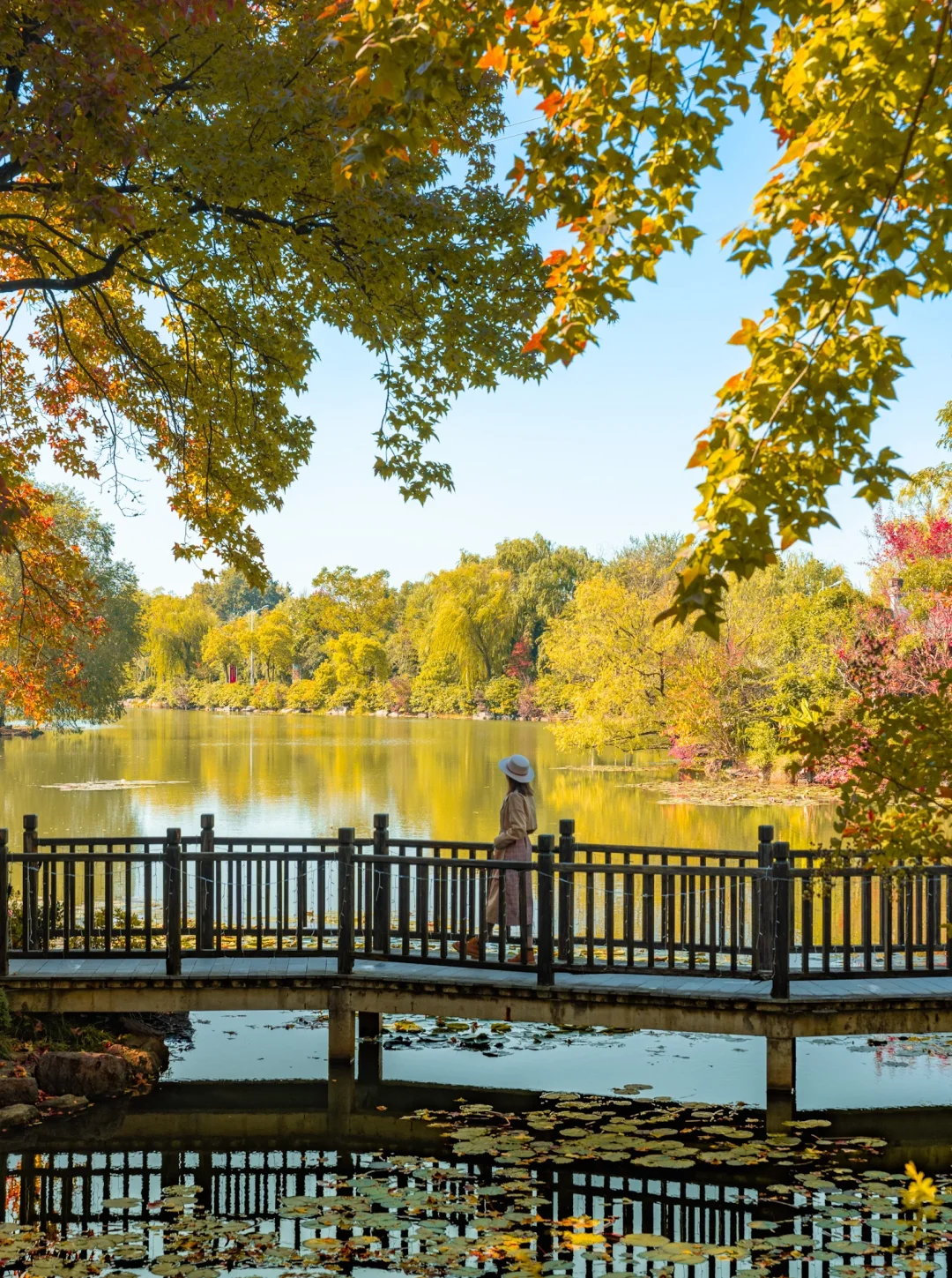 皖南的🍁枫叶已红!这个小镇的秋色美翻了‼️