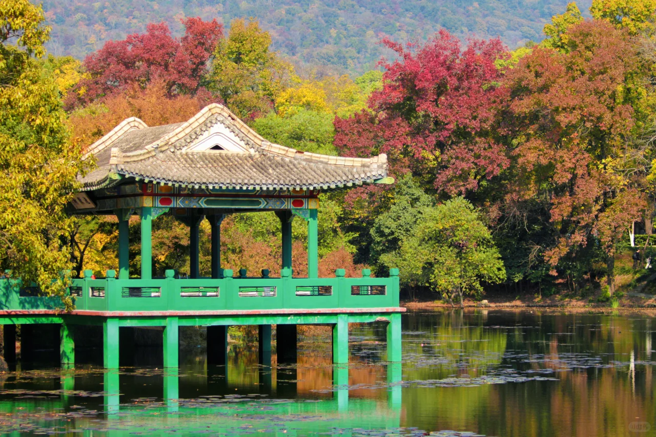 南京流徽榭|藏在钟山景区的秋色秘境🍂