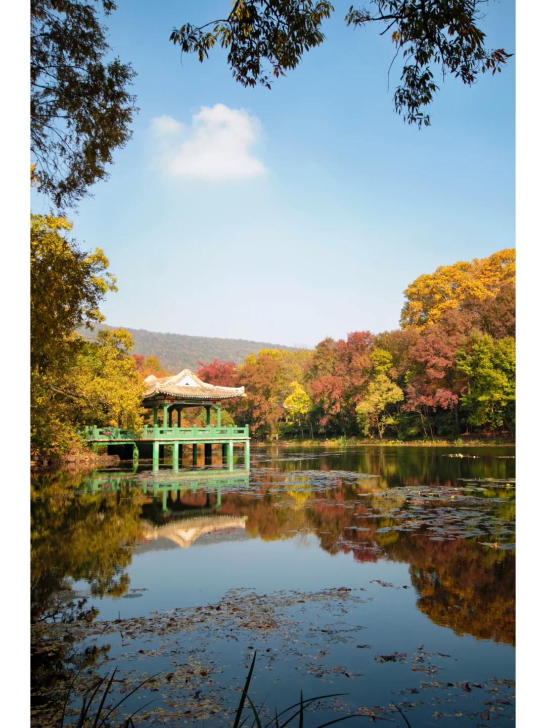 南京流徽榭|藏在钟山景区的秋色秘境🍂
