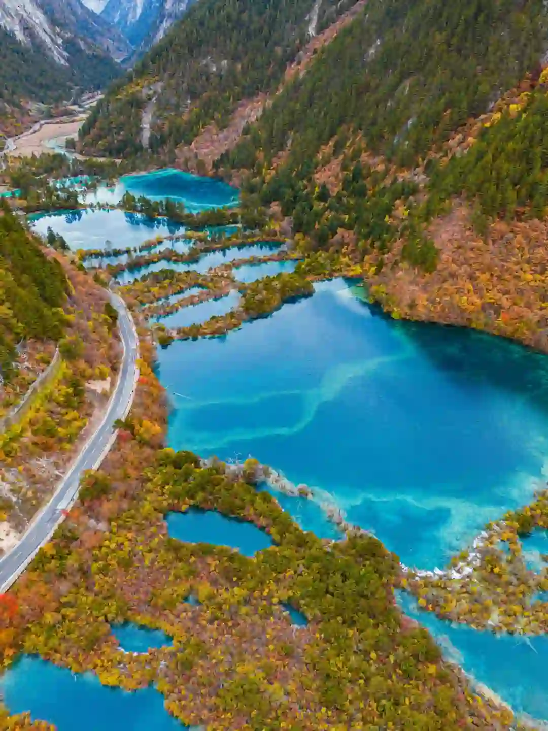 趁门票降价,一天逛完九寨沟攻略❗️