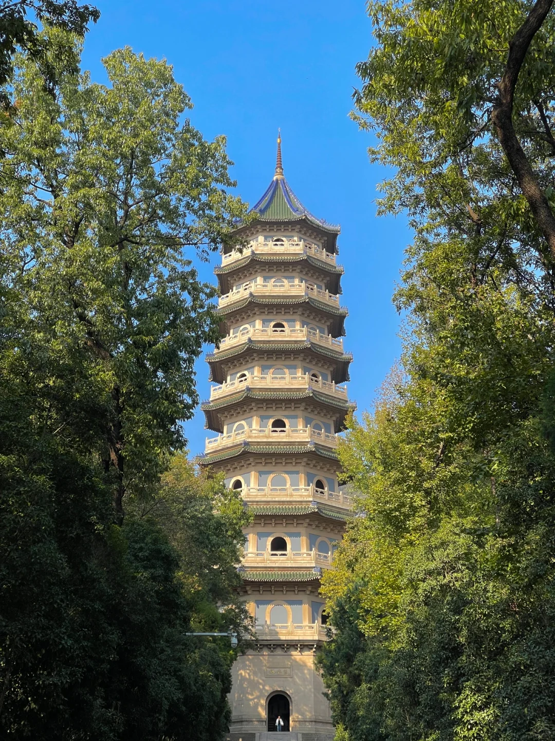 等了一年,就为了11月的南京!!🍁