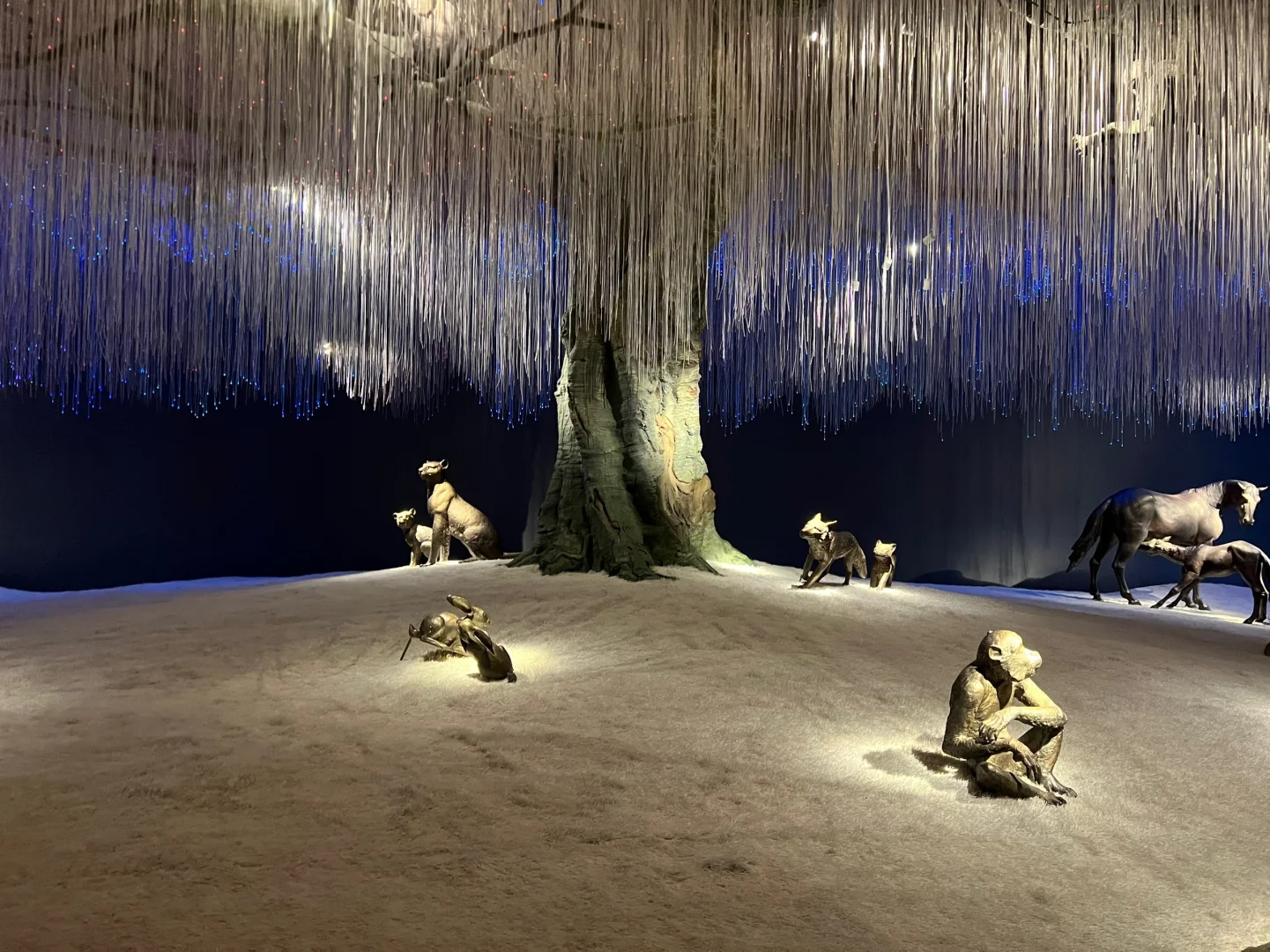 南京市区拍照打卡圣地，拍照祈愿两不误