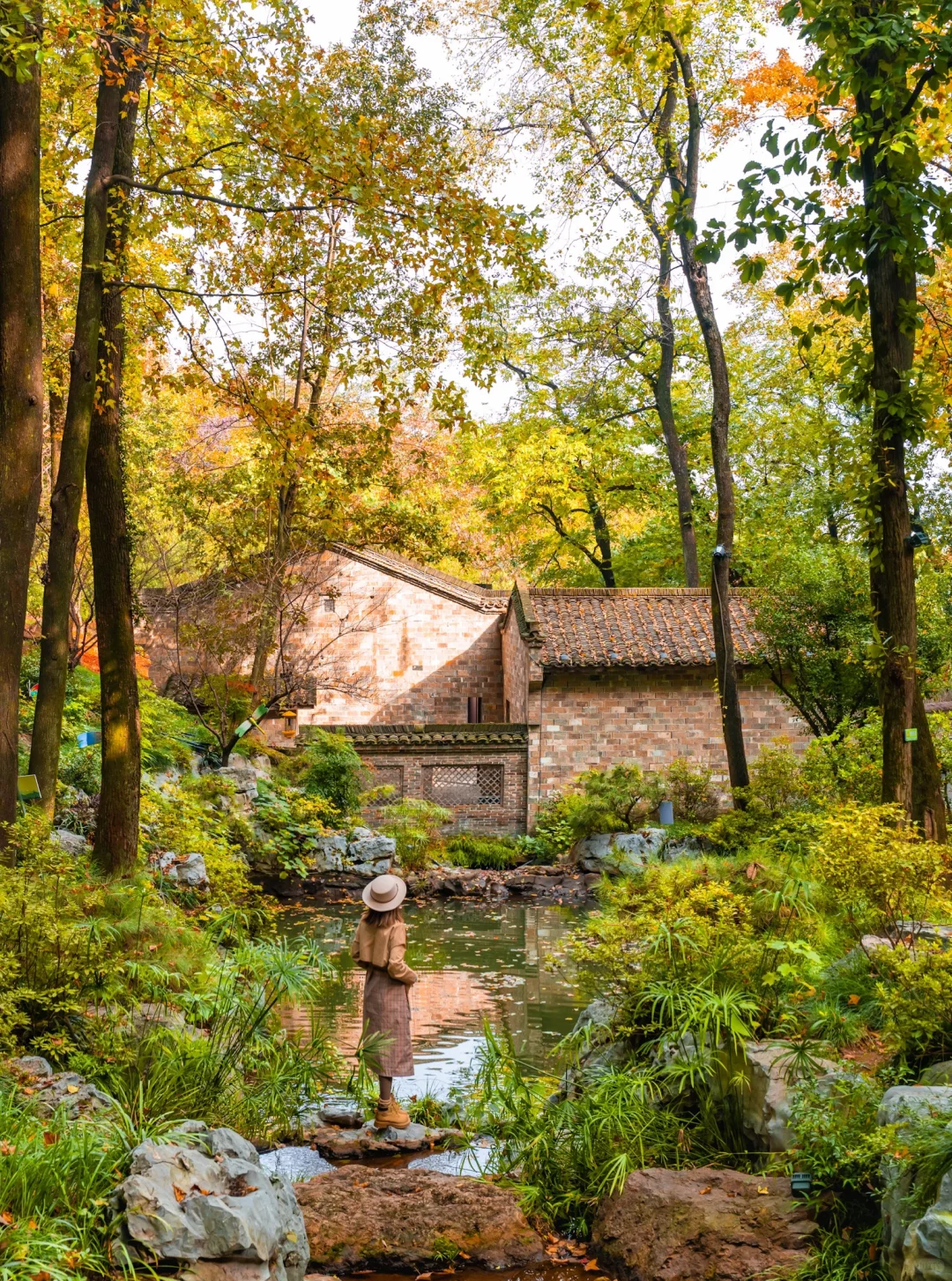 皖南的🍁枫叶已红!这个小镇的秋色美翻了‼️