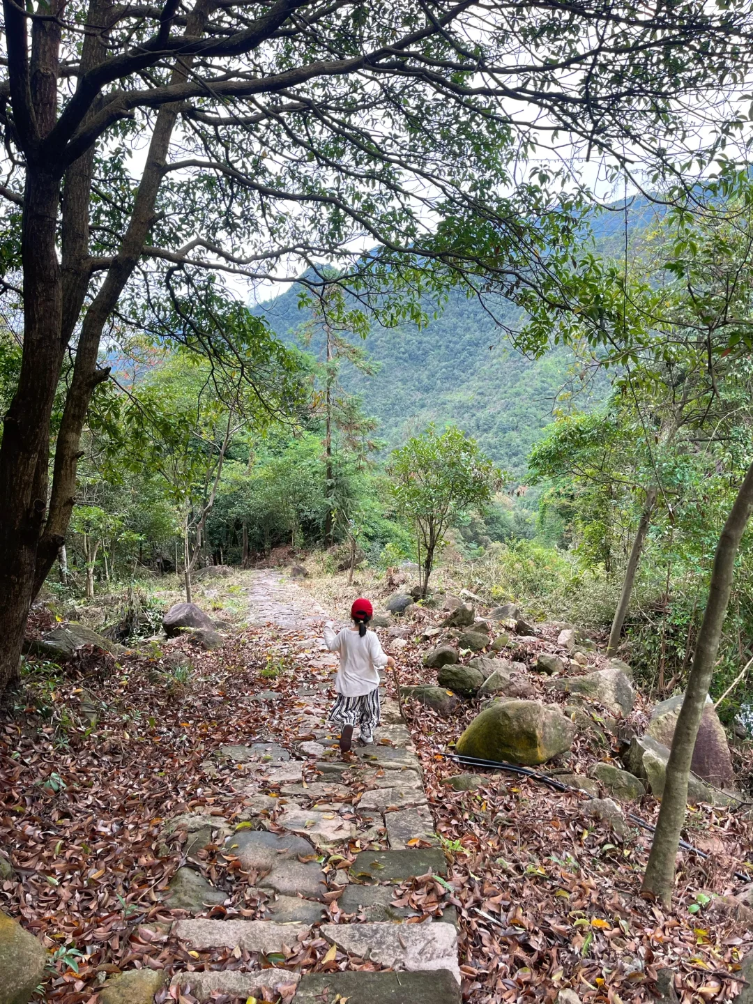 温州徒步 | 这条亲子友好路线一定要去!⛰️
