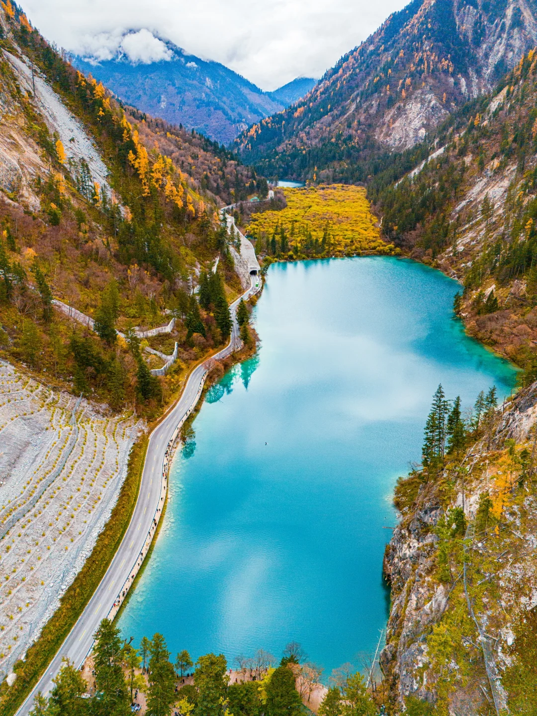 趁门票降价,一天逛完九寨沟攻略❗️