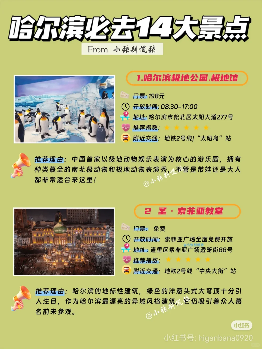 哈尔滨本地土著推荐