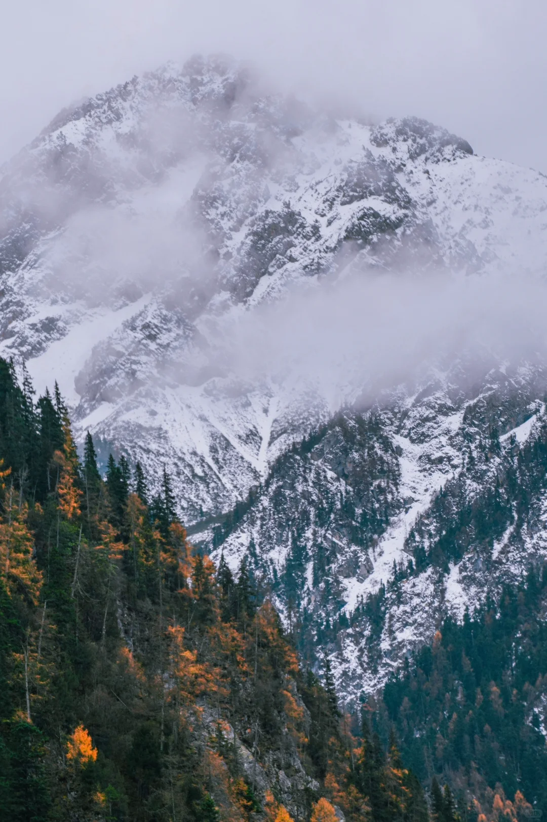 趁门票降价,一天逛完九寨沟攻略❗️