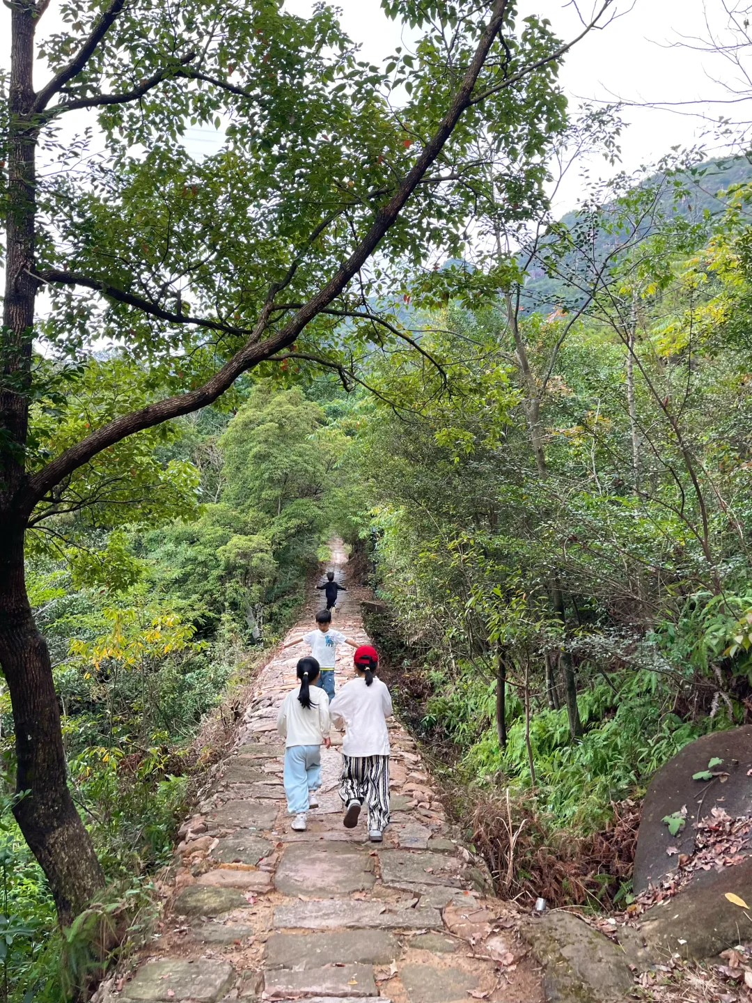 温州徒步 | 这条亲子友好路线一定要去!⛰️