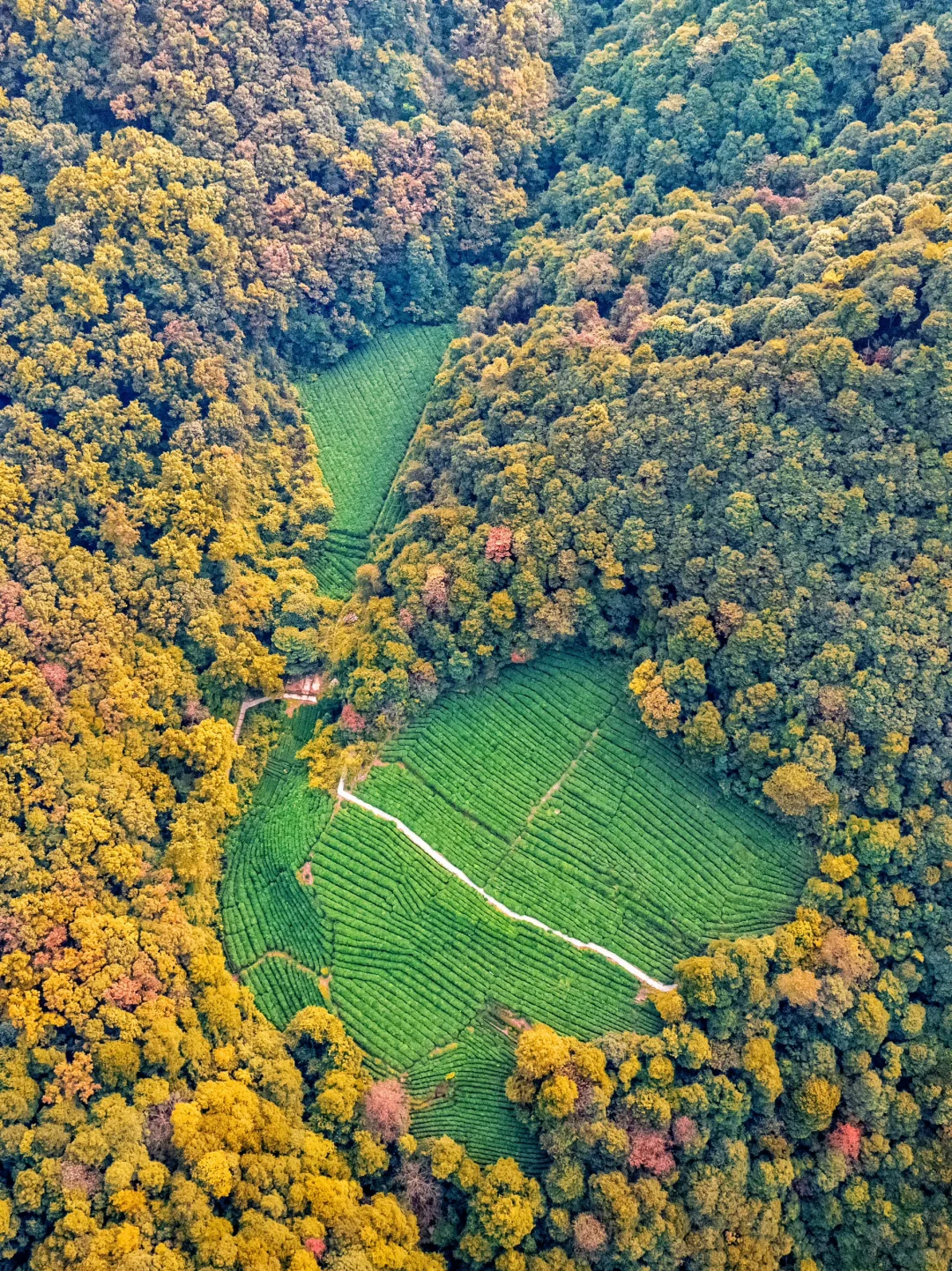 不是九寨沟❗在杭州❗小九寨秋景秘境真绝🍂