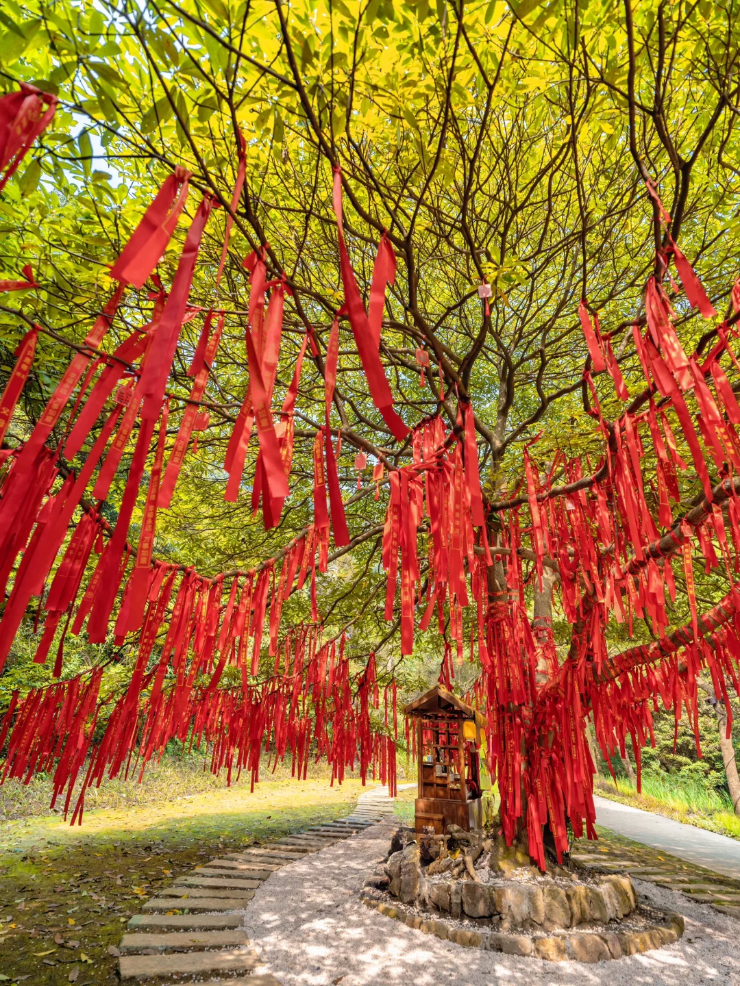 不是九寨沟❗在杭州❗小九寨秋景秘境真绝🍂