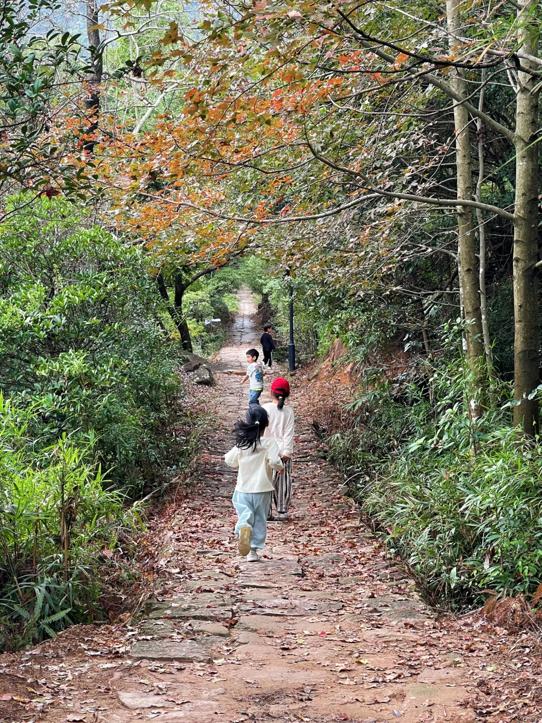 温州徒步 | 这条亲子友好路线一定要去!⛰️