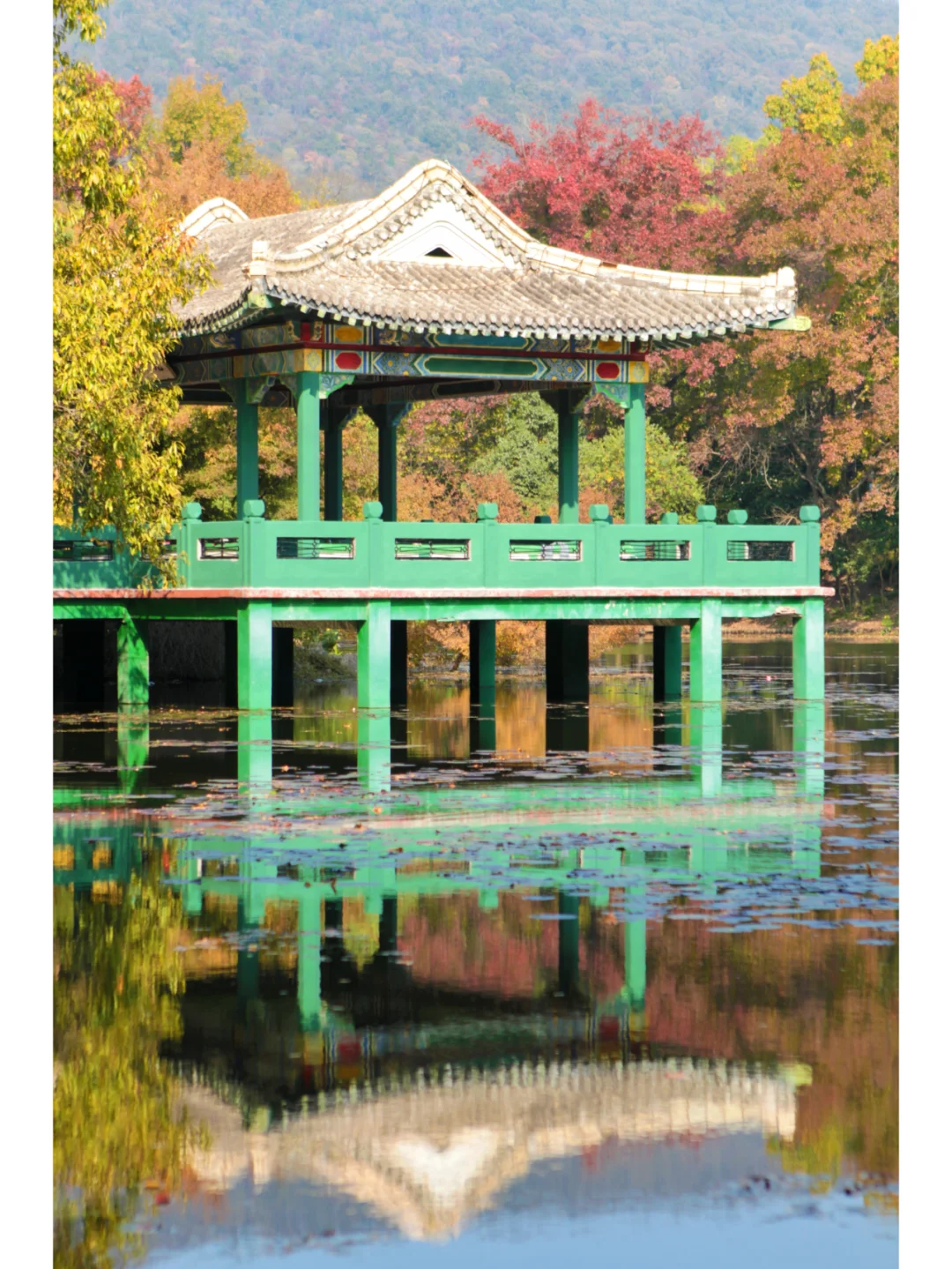 南京流徽榭|藏在钟山景区的秋色秘境🍂