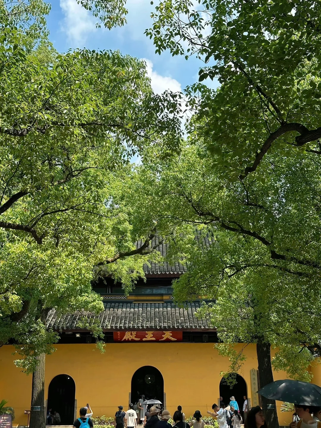 04男大暑假一日游📍苏州|苏州江南水乡