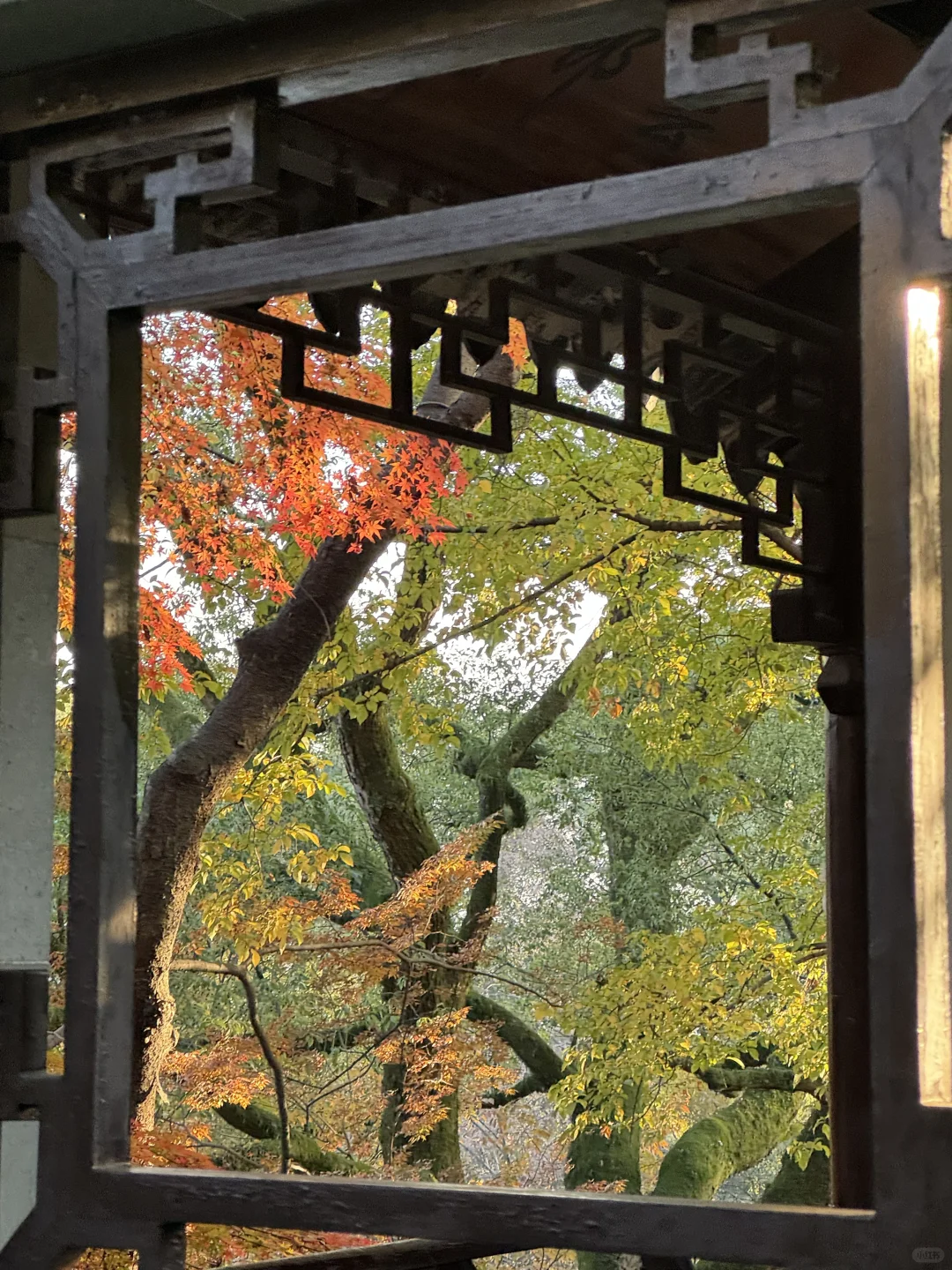 11月不来苏州！！！你糊涂啊！！！！！！