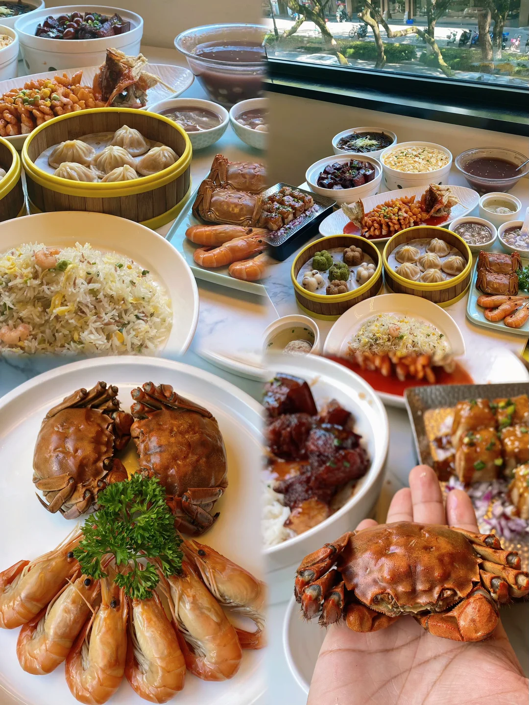 04男大暑假一日游📍苏州|苏州江南水乡