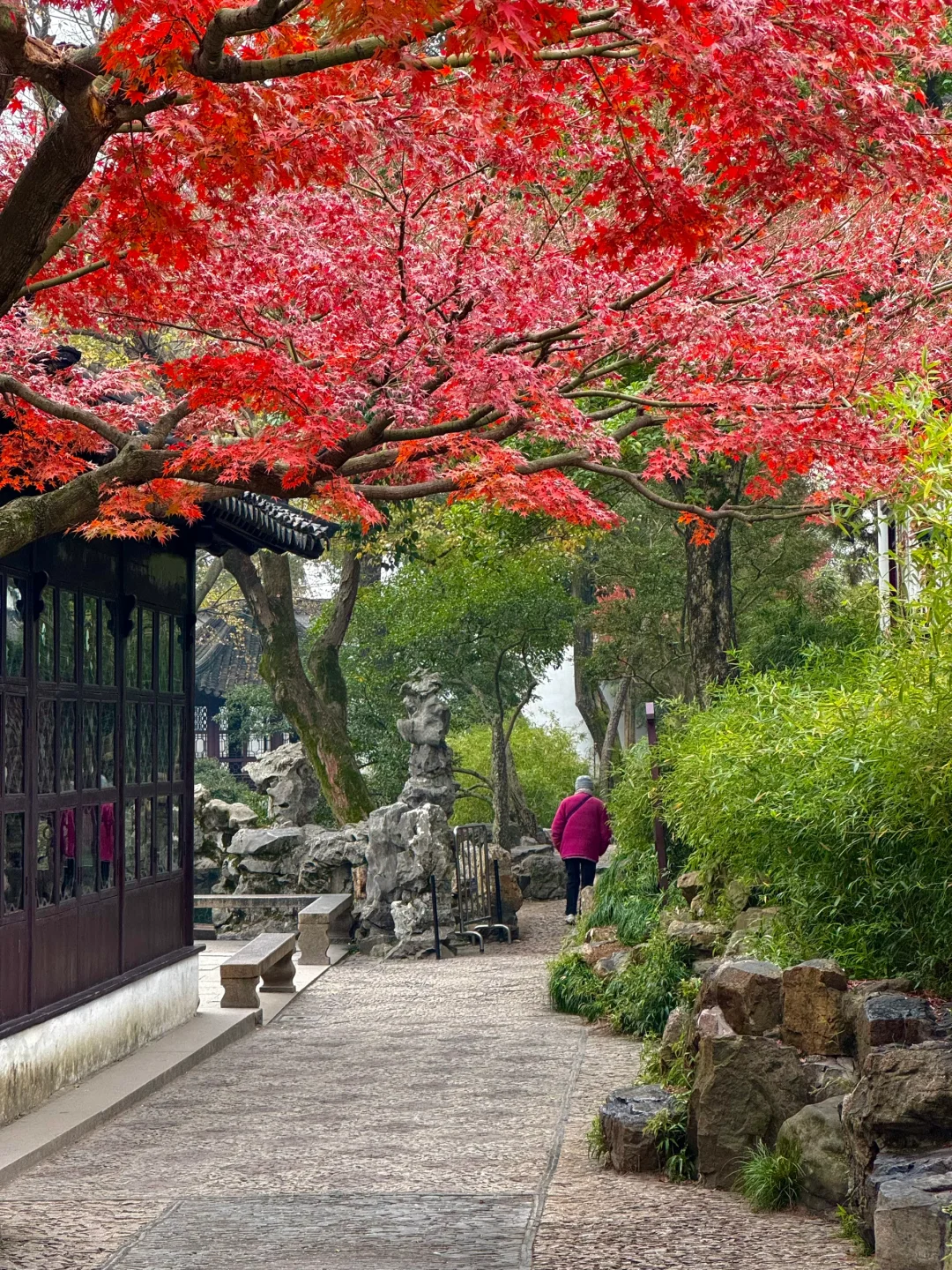 11月不来苏州！！！你糊涂啊！！！！！！