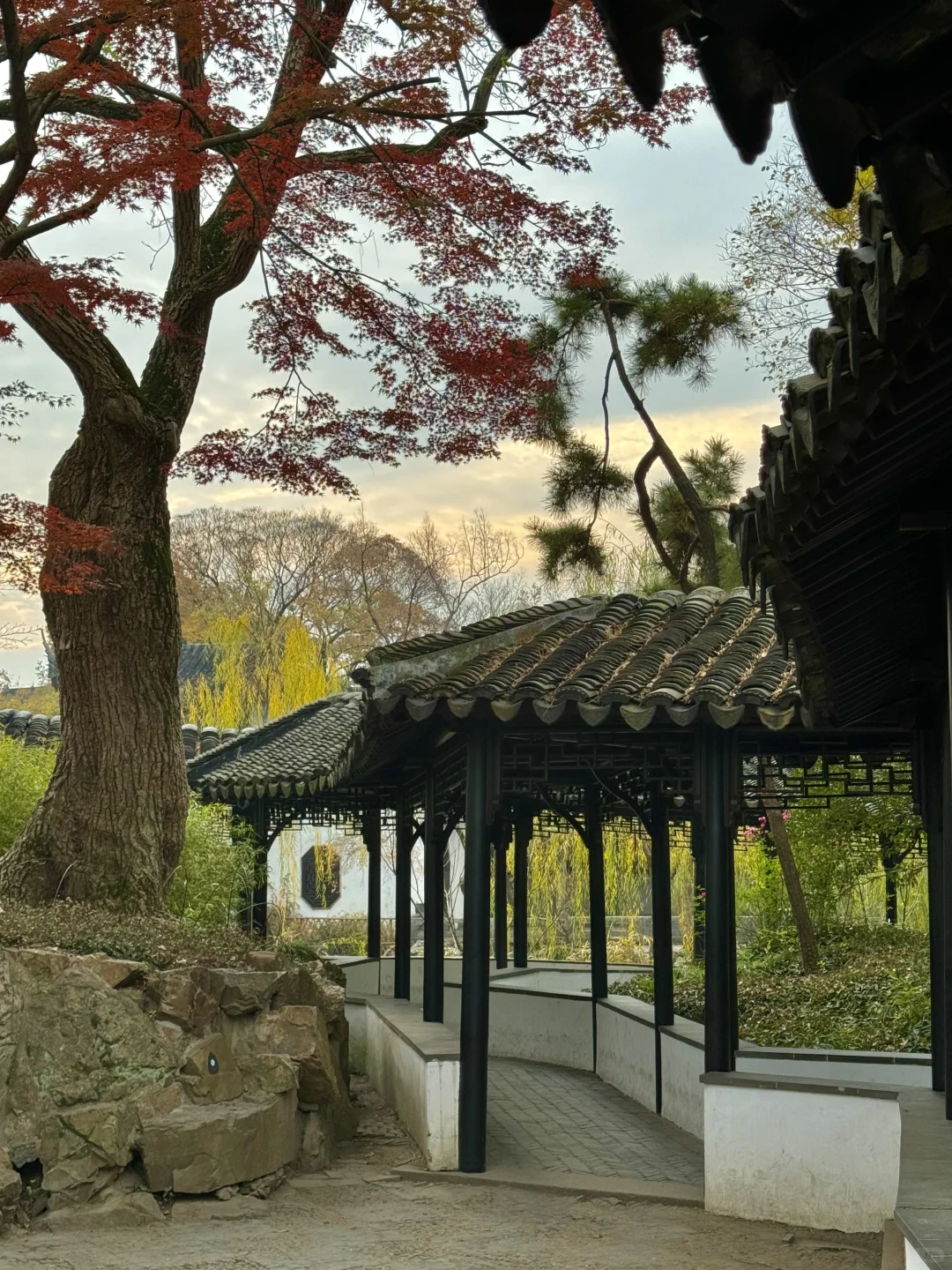 11月不来苏州！！！你糊涂啊！！！！！！