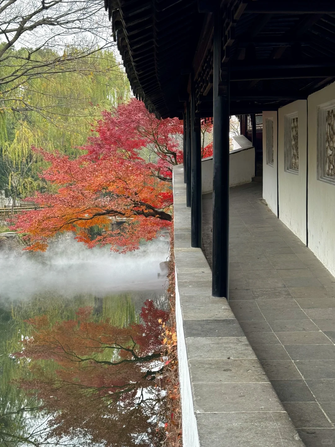 11月不来苏州！！！你糊涂啊！！！！！！