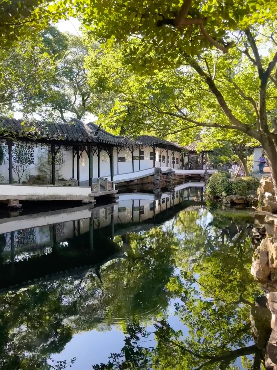 04男大暑假一日游📍苏州|苏州江南水乡