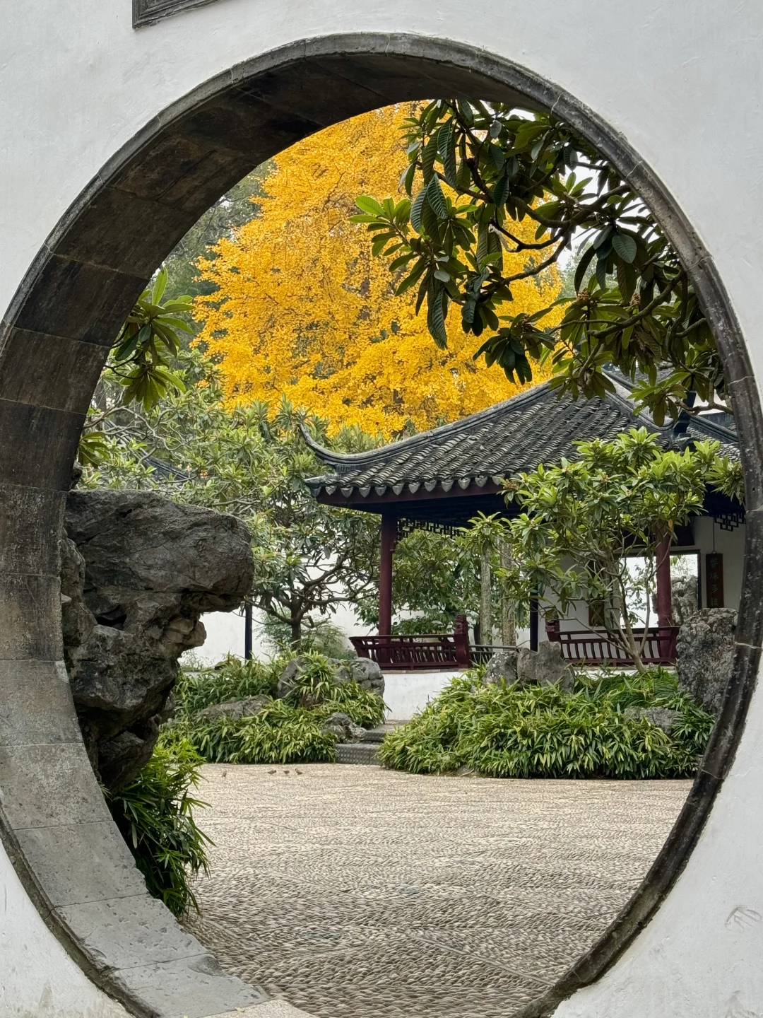 11月不来苏州！！！你糊涂啊！！！！！！