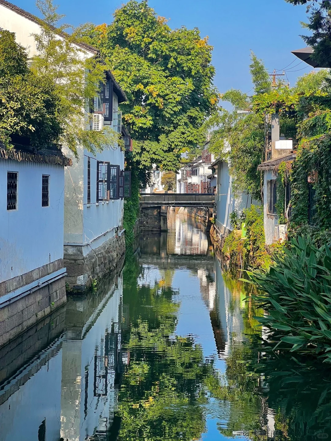 04男大暑假一日游📍苏州|苏州江南水乡