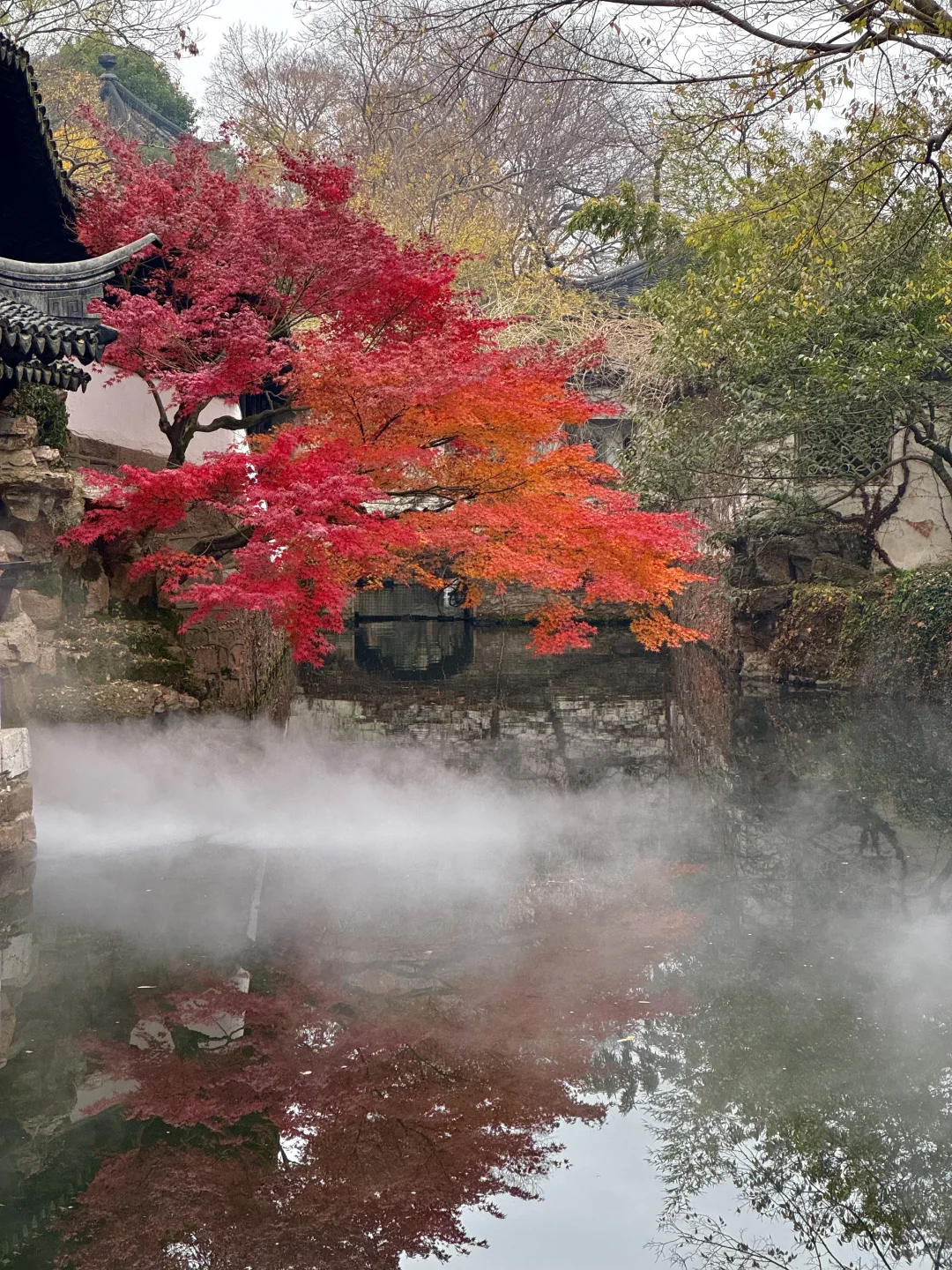 11月不来苏州！！！你糊涂啊！！！！！！