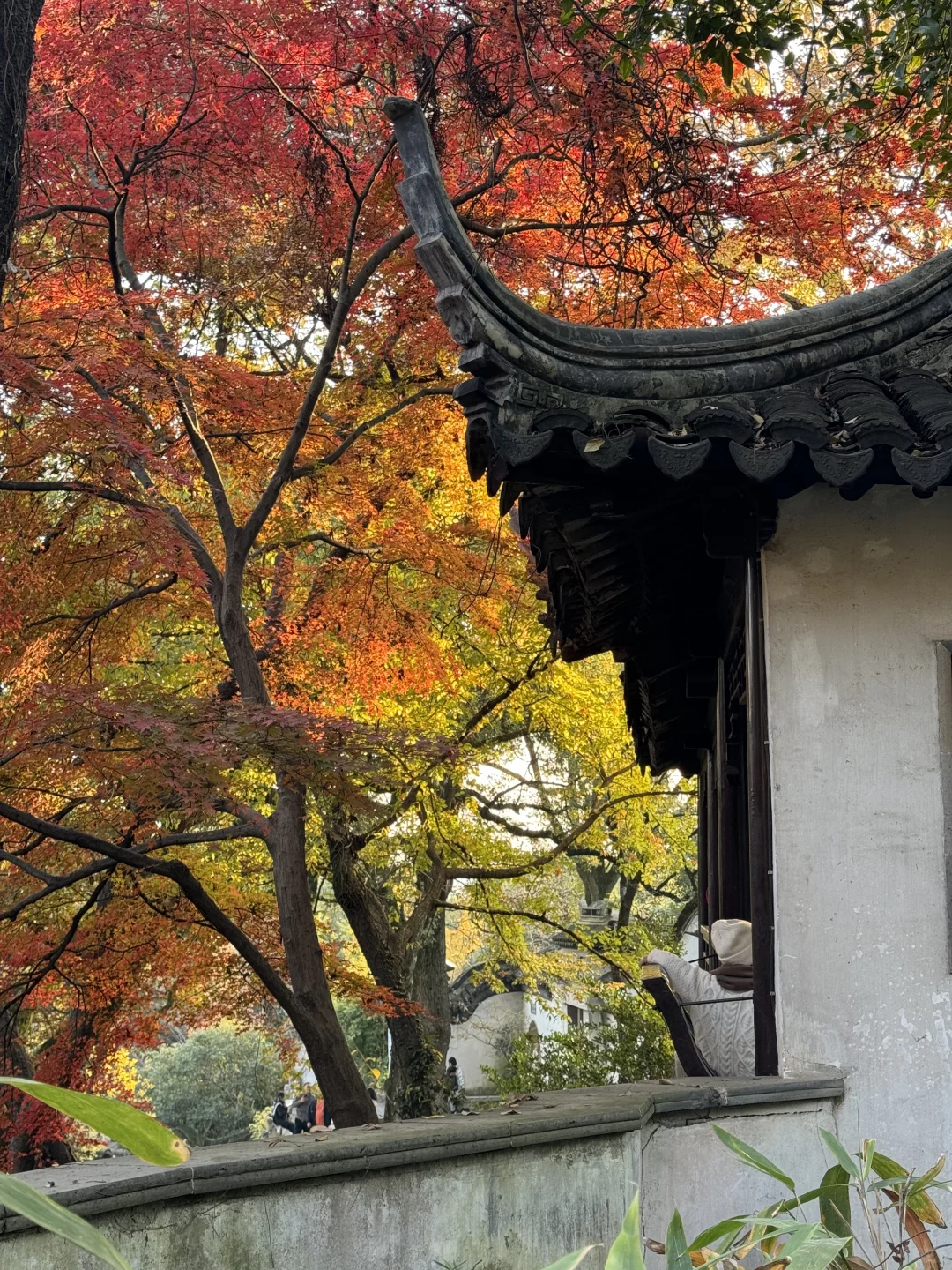 11月不来苏州！！！你糊涂啊！！！！！！