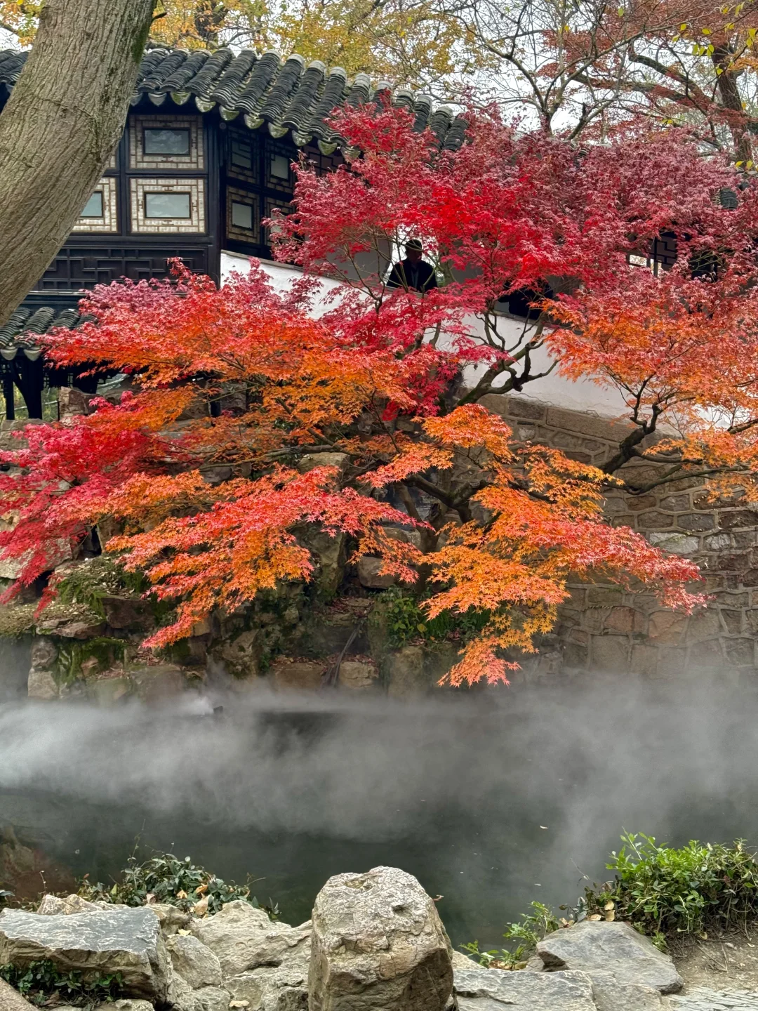 11月不来苏州！！！你糊涂啊！！！！！！