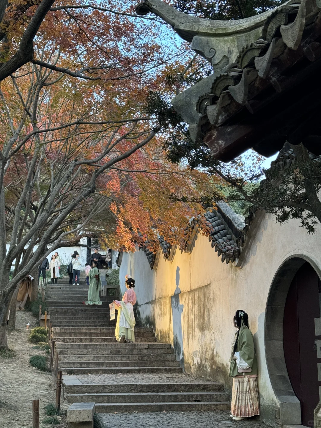 11月不来苏州！！！你糊涂啊！！！！！！