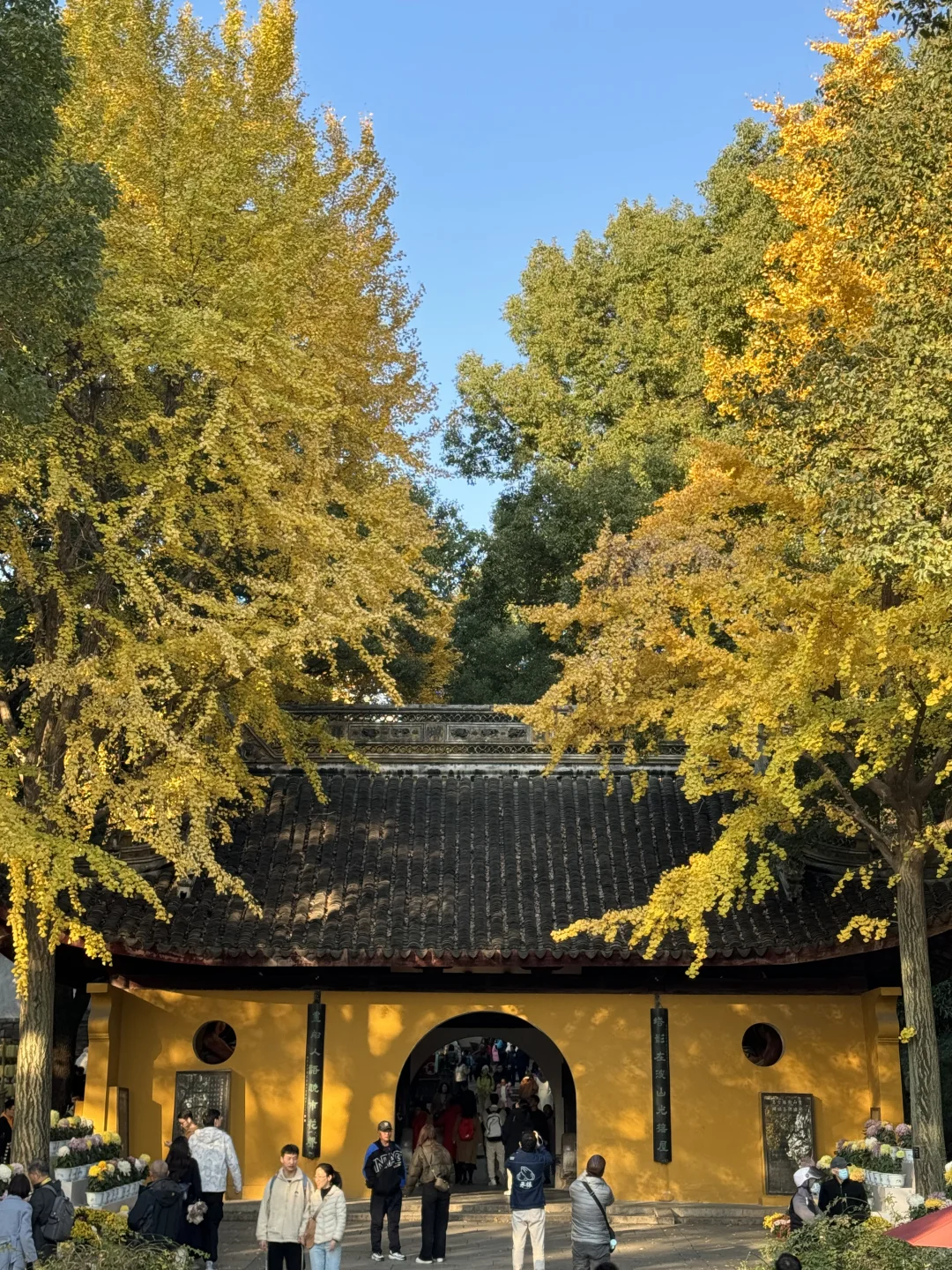 11月不来苏州！！！你糊涂啊！！！！！！