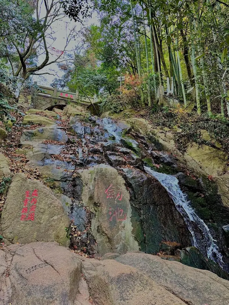 莫干山丨真的听我一句劝，没什么好玩的