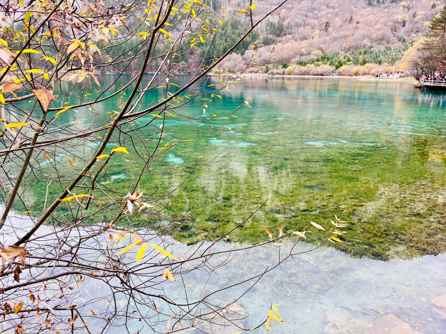 记录阴天的九寨沟